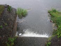 DSC06337