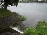 DSC06338