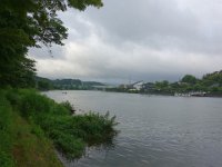 DSC06341