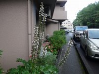 DSC06354
