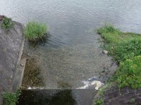 DSC06368