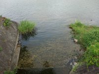 DSC06394