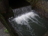 RIMG0067