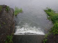 DSC06442