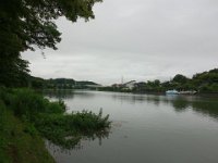 DSC06446