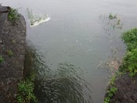 DSC06455