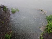 DSC06472