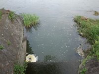 DSC06487