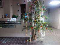 DSC06525