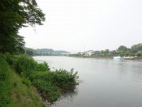 DSC06529