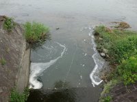DSC06539