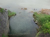 DSC06580
