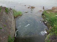 DSC06597