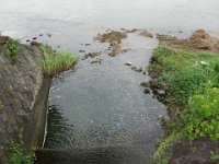 DSC06615