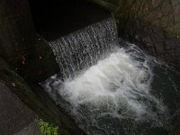 RIMG0174